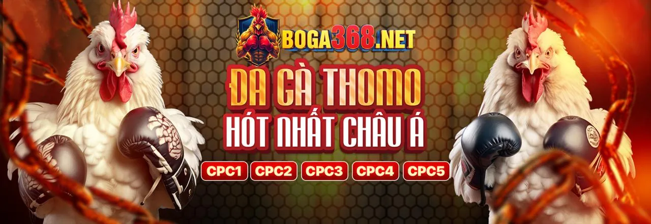 Chương trình VIP okkingcom code với đặc quyền riêng